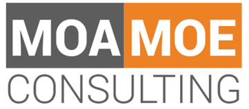 Consultante MOA / MOE / Gestion de projets